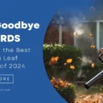 Say Goodbye to Cords: Discover the Best Cordless Leaf Blowers of 2024